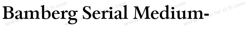 Bamberg Serial Medium字体转换